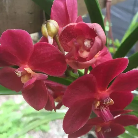 Kent Comfortable Vacation Apartment *