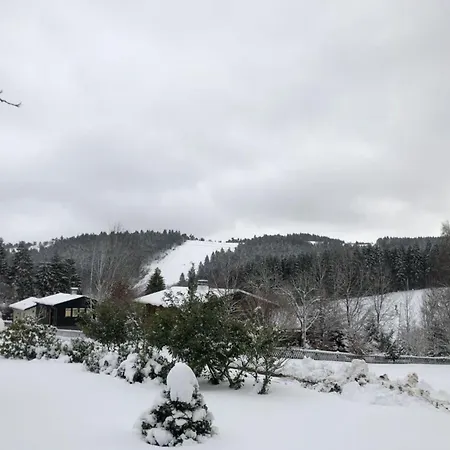 Kent Comfortable Vacation Willingen