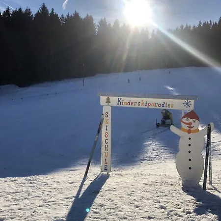 Kent Comfortable Vacation Apartment Willingen (Upland)