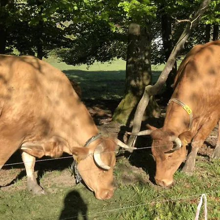 Kent Comfortable Vacation * Willingen (Upland)