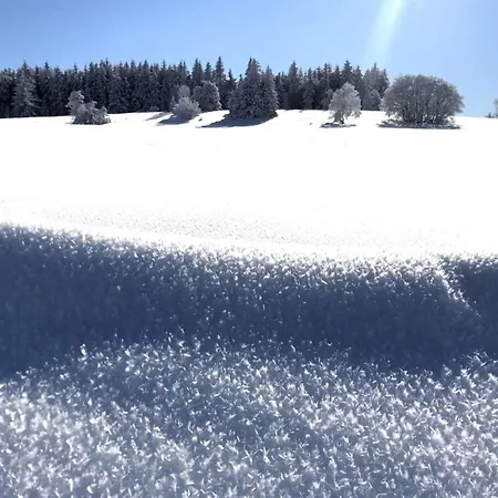 Appartement Kent Comfortable Vacation