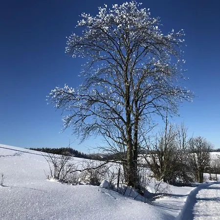 Kent Comfortable Vacation Apartment *