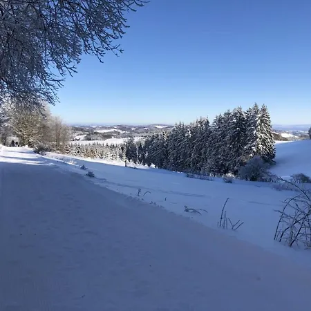 Kent Comfortable Vacation Apartman Willingen